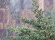 Погода в Украине 13 мая: ливни и грозы по всей стране