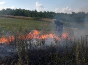В Днепропетровской области спасатели потушили возгорание сухостоя (Фото)
