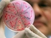 В одной из школ Ужгорода обнаружили менингококковую инфекцию