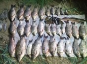 На Николаевщине браконьер наловил рыбы на крупную сумму