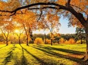 Прогноз погоды в Украине на 7 сентября: ожидается ясная погода