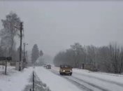 На Житомирщині випав сильний сніг