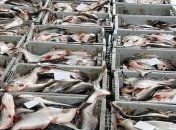 Канада экспортировала морепродуктов на $4,1 млрд