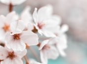 Какой праздник 3 апреля: народные приметы и запреты