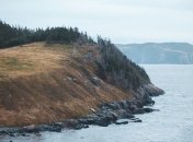 "Выбросы тут ни при чем": в России пытаются опровергнуть экологическую катастрофу на Камчатке