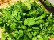 Бесценный набор витаминов: названа самая полезная зелень для здоровья