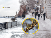 Погода в Днепре