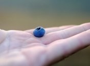 Медики рассказали, какие витамины несовместимые