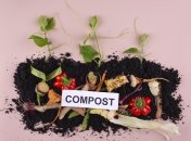 Компостная куча