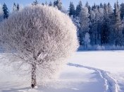 13 февраля. Приметы дня