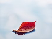 Осень пришла: чего украинцам ждать от погоды в первые дни сентября