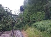 Поваленные деревья и перекрытые дороги: Польшу накрыл сильный шторм