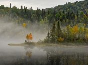 Дождливо и сыро: в Украине задержится "ноябрьская" погода