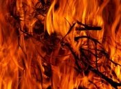 Практически самоубийство: на Одесчине пенсионерка погибла из-за сжигания мусора во дворе