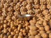 Специалисты признали картофель самым дешевым и полезным овощем