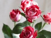 Лучшие поздравление с днем рождения в стихах на 16 августа