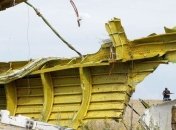 Представитель ОБСЕ: На месте падения "Боинга" нет части самолета