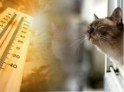 Суббота будет теплой, а воскресенье дождливым: синоптики озвучили прогноз погоды на выходные