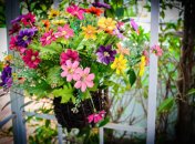 8 июля. Приметы дня