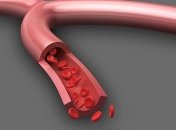 Китайские ученые напечатали кровеносные сосуды на 3D-принтере