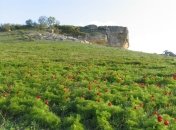 25 мая. Приметы дня