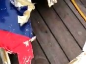 Лежали на глубине 23 метров: новые подробности поисковой операции на месте крушения индонезийского Boeing (видео)