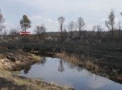 В "Чернобыльской пуще" до сих пор борются с пожаром