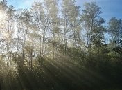 Мокрый снег и мороз: Синоптики дали украинцам холодный прогноз погоды