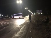 ДТП на Закарпатье: легковушку выбросило в кювет после столкновения с микроавтобусом (Фото)