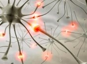 Ученые рассказали о пользе стимуляции мозга током