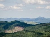Законопроект о запрете вырубки в Карпатах приняли в Раде