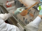 Поисками темной материи занимается подземная лаборатория   