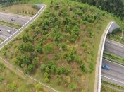 Чудові екодук, щорічно рятують життя диких тварин (Фото)