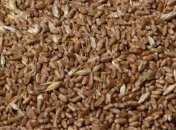 В Россию завезли зараженные продукты питания 