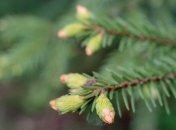 Как увеличить работоспособность мозга