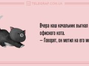 Вечерняя порция отменных шуток: анекдоты 20 марта