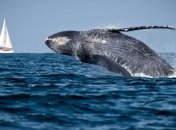 Ученые назвали самое одинокое место на планете