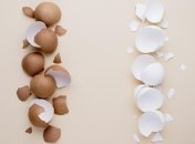 Яєчна шкарлупа - чудове добриво