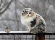 Большинство осадков прогнозируются на вторую половину дня и ночь