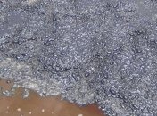 В нефти найдена жизнь