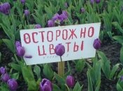 Народное творчество безгранично: лучшие примеры 
