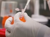 Химики сделали первый шаг к созданию "вечного" масла для автомобилей