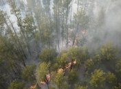 "Поджог": во Львове дети записали ролик на тему пожаров в Украине (Видео)