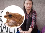 Особливість виду – чорні очі