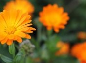 Прогноз погоды на 12 сентября: на западе будет дождливо и прохладно