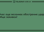 Больше смейтесь и меньше грустите: вечерние анекдоты