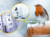 Погода в Києві