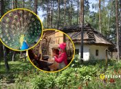 Райский уголок под Киевом