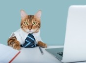 Яким знакам Зодіаку потрібно бути пильними наприкінці серпня 2022 року