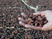 Изюм для похудения